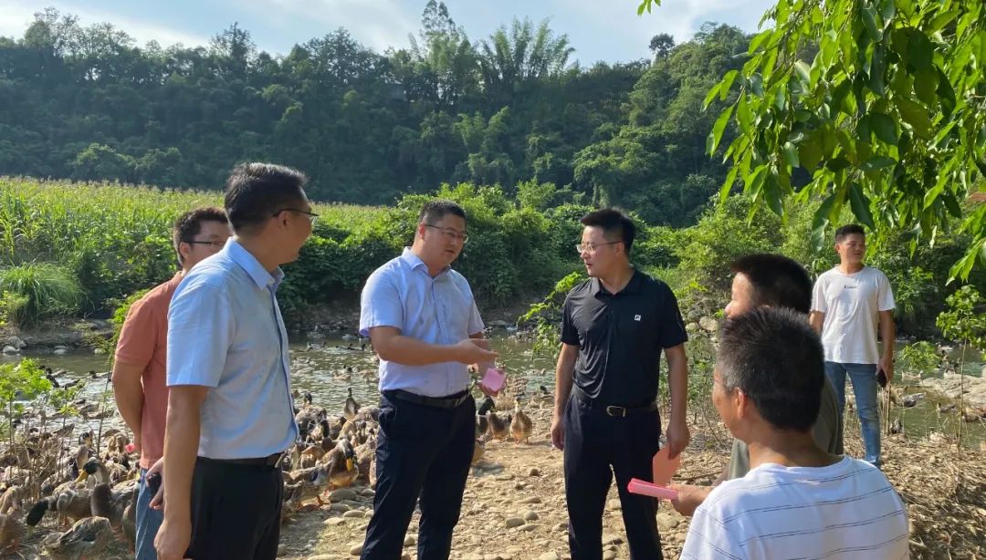 村集體經(jīng)濟(jì)5 村集體經(jīng)濟(jì)5