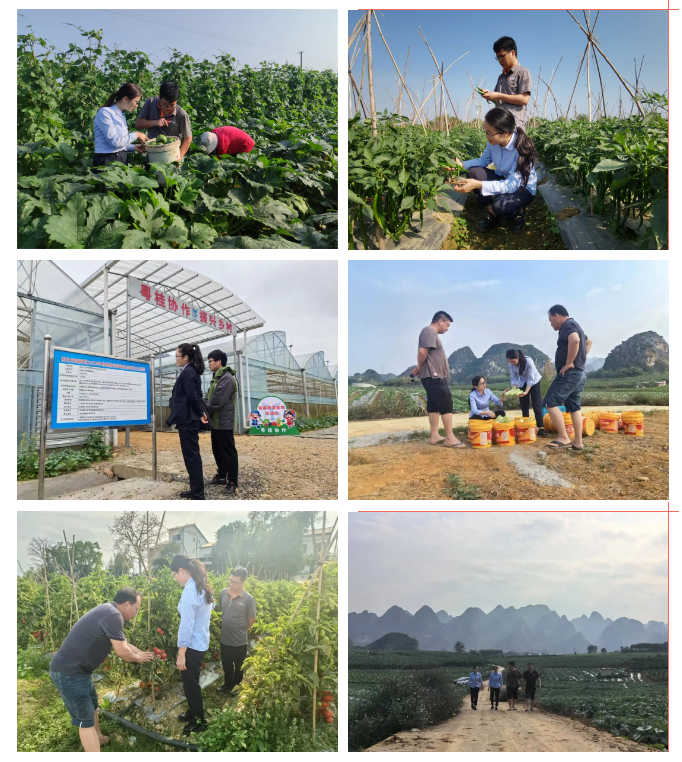 1715134704350 1715134704350